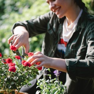 Self-Circulating Pond Plant Rafts