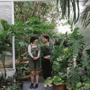 Wild Ginseng Habitat Cultivation