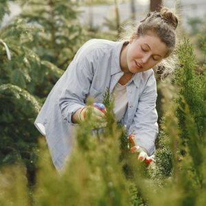 Zen-Inspired Dry Waterfall
