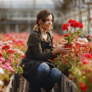 Trickling Mushroom Fountains