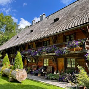 Modular Trellis Panels